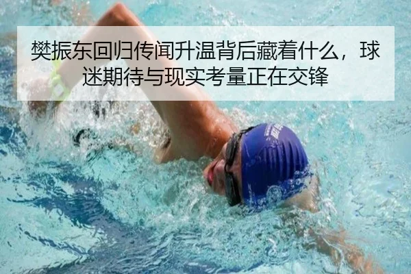 樊振东回归传闻升温背后藏着什么，球迷期待与现实考量正在交锋